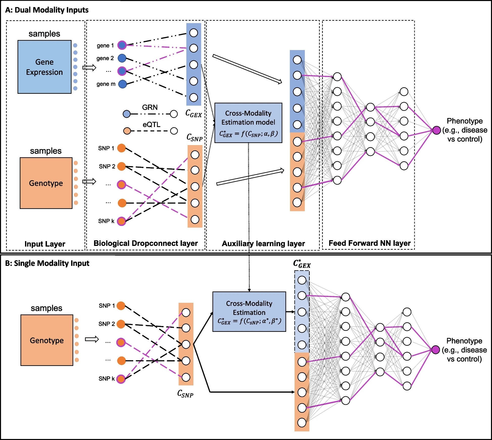 gene✱ai様 deepgami_fig1.webp